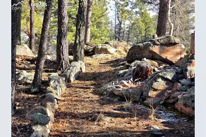 2063 Vagabond Creek Drive, Lake George, CO 80827 - Photo 30