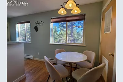 2063 Vagabond Creek Drive, Lake George, CO 80827 - Photo 12