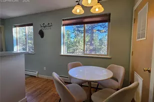 2063 Vagabond Creek Dr, Lake George, CO 80827 - Photo 12
