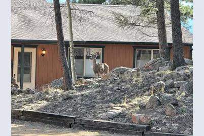 2063 Vagabond Creek Drive, Lake George, CO 80827 - Photo 48