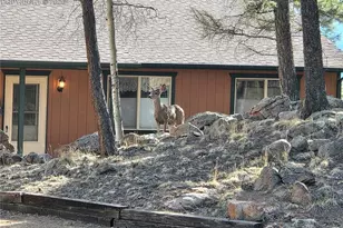 2063 Vagabond Creek Dr, Lake George, CO 80827 - Photo 48