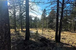2063 Vagabond Creek Dr, Lake George, CO 80827 - Photo 42