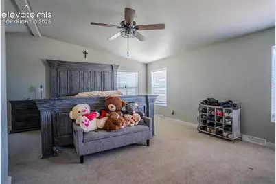 20670 Calle Pacifico Point, Fountain, CO 80817 - Photo 16
