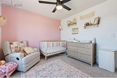 1421 Will Scarlet Drive, Divide, CO 80814 - Photo 24