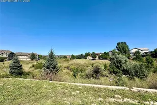 4229 High Timberline View, Colorado Springs, CO 80923 - Photo 20