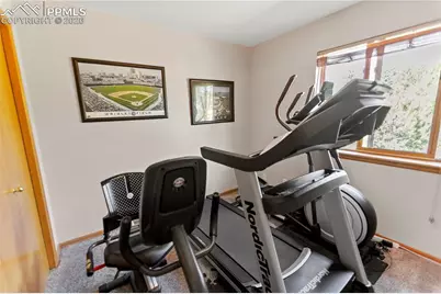 566 Spring Valley Drive, Divide, CO 80814 - Photo 16