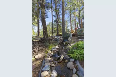 566 Spring Valley Drive, Divide, CO 80814 - Photo 28