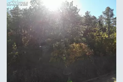 Oakdale Terrace, Palmer Lake, CO 80133 - Photo 16