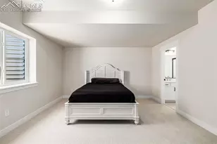 10059 Owl Perch Loop, Colorado Springs, CO 80908 - Photo 40