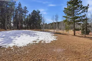 1313 Stone Ridge Dr, Woodland Park, CO 80863 - Photo 44