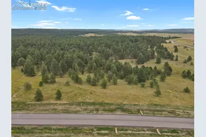 10385 Alamar Way, Colorado Springs, CO 80908 - Photo 2