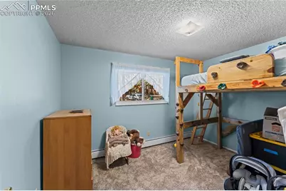1210 W Lorraine Avenue, Woodland Park, CO 80863 - Photo 22