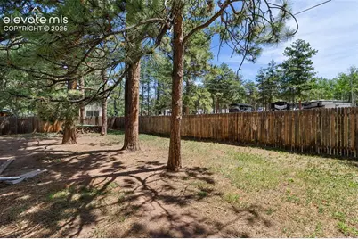 835 E Northwoods Drive, Woodland Park, CO 80863 - Photo 40