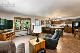 835 E Northwoods Dr, Woodland Park, CO 80863 - Photo 8