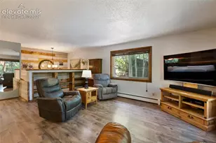 835 E Northwoods Dr, Woodland Park, CO 80863 - Photo 10