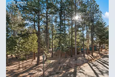 523 N Walnut Street, Woodland Park, CO 80863 - Photo 40