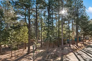 523 N Walnut St, Woodland Park, CO 80863 - Photo 40