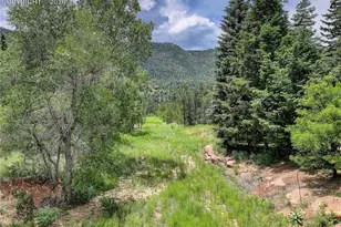 5975 Wellington Rd, Cascade, CO 80809 - Photo 4