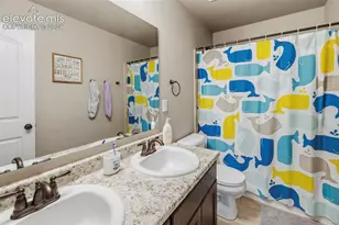19915 Alexandria Dr, Monument, CO 80132 - Photo 28