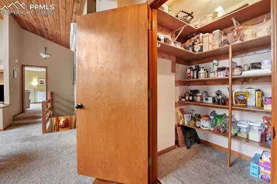 220 Morning Sun Drive, Woodland Park, CO 80863 - Photo 34