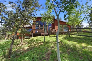 220 Morning Sun Dr, Woodland Park, CO 80863 - Photo 2