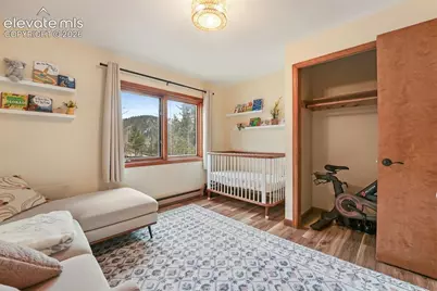 220 Morning Sun Drive, Woodland Park, CO 80863 - Photo 28