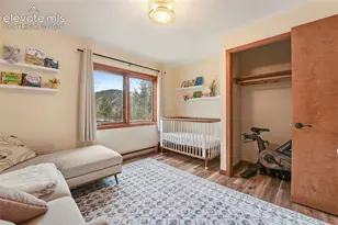 220 Morning Sun Dr, Woodland Park, CO 80863 - Photo 28