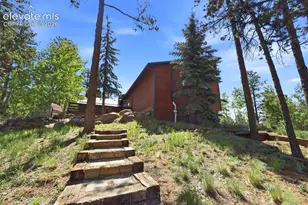 220 Morning Sun Dr, Woodland Park, CO 80863 - Photo 42