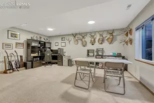 9358 Prairie Clover Dr, Colorado Springs, CO 80920 - Photo 30