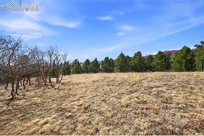 2615 Tamora Way, Colorado Springs, CO 80919 - Photo 40