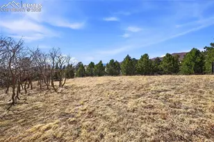 2615 Tamora Way, Colorado Springs, CO 80919 - Photo 40