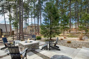 16406 Dancing Bear Ln, Monument, CO 80132 - Photo 44