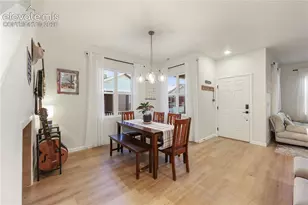 8779 Shady Ridge Grv, Colorado Springs, CO 80924 - Photo 4