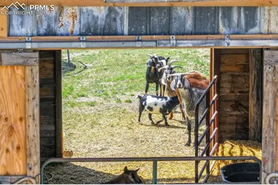 9235 Guthrie Road, Calhan, CO 80808 - Photo 42