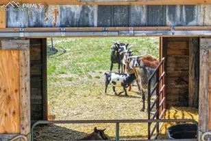 9235 Guthrie Rd, Calhan, CO 80808 - Photo 42