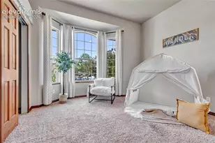 484 Pasada Way, Monument, CO 80132 - Photo 30