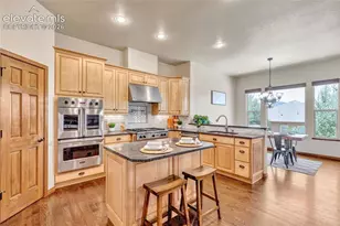 484 Pasada Way, Monument, CO 80132 - Photo 8