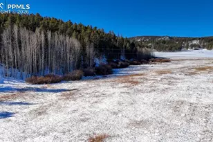 36 Valley Cir, Guffey, CO 80820 - Photo 22