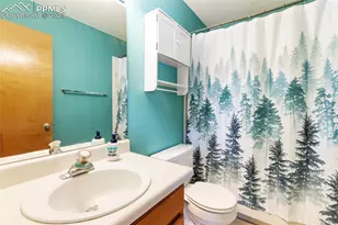 747 Pinon Ridge Dr, Woodland Park, CO 80863 - Photo 20