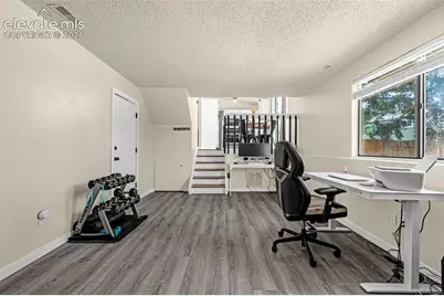 3955 Ayers Drive, Colorado Springs, CO 80920 - Photo 12