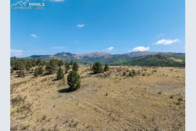 11893 S Highway 67, Divide, CO 80814 - Photo 6