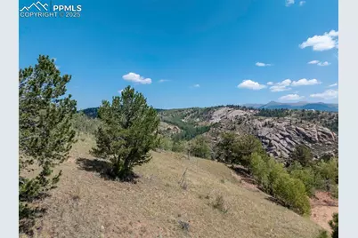 11893 S Highway 67, Divide, CO 80814 - Photo 10