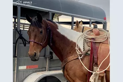 20449 Silverado Hill View, Colorado Springs, CO 80928 - Photo 8