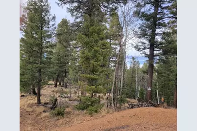 180 Sentinel Way, Florissant, CO 80816 - Photo 2