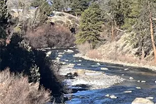 10795 Co Rd 197A, Nathrop, CO 81236 - Photo 4