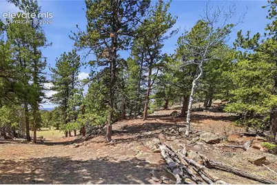7070 County Road 1, Cripple Creek, CO 80813 - Photo 18