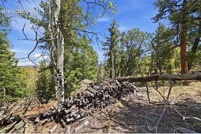 7070 County Road 1, Cripple Creek, CO 80813 - Photo 22
