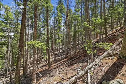 7070 County Road 1, Cripple Creek, CO 80813 - Photo 24