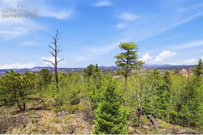 7070 County Road 1, Cripple Creek, CO 80813 - Photo 20