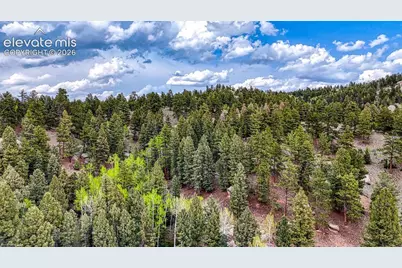 918 Pinon Lane, Florissant, CO 80816 - Photo 8